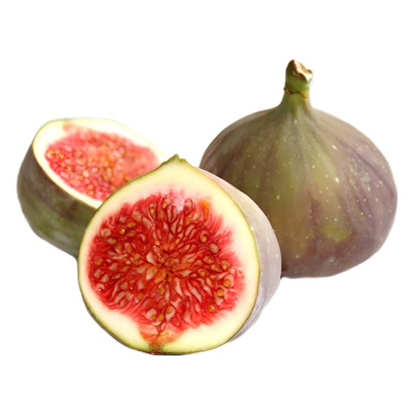 تين