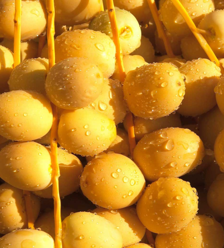 برحي