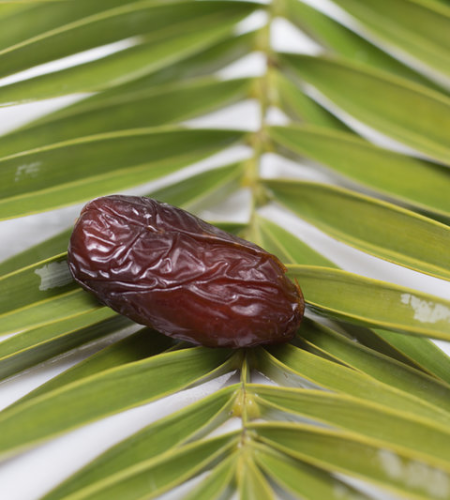مجدول
